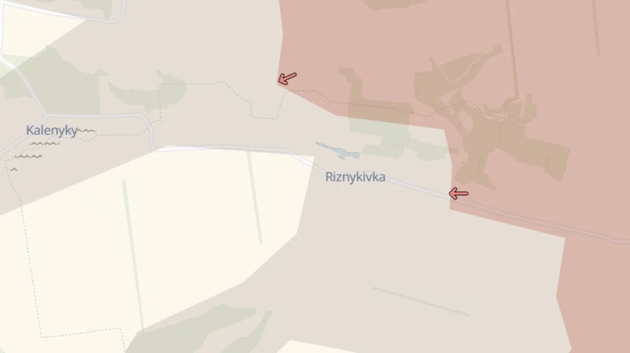 Russian advance near Riznykivka in Donetsk Oblast – DeepState