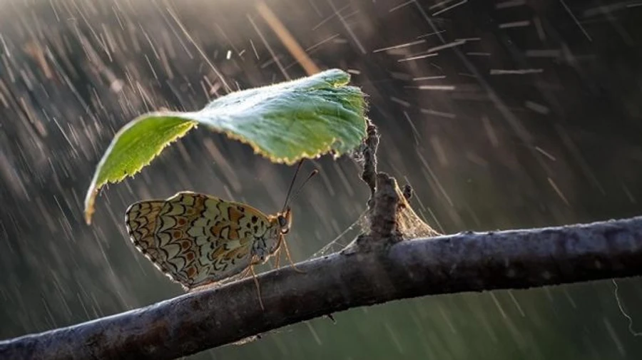 В ряде регионов Украины ожидаются грозы и град