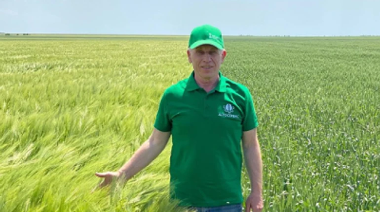 Жизнь без вспашки. Как фермеры без обработки земли выращивают растения и что из этого получается