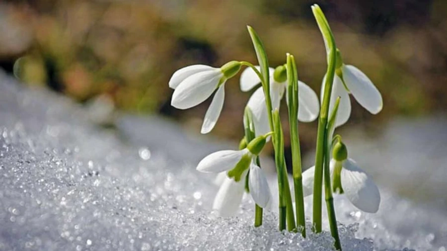У Києві можливий мокрий сніг