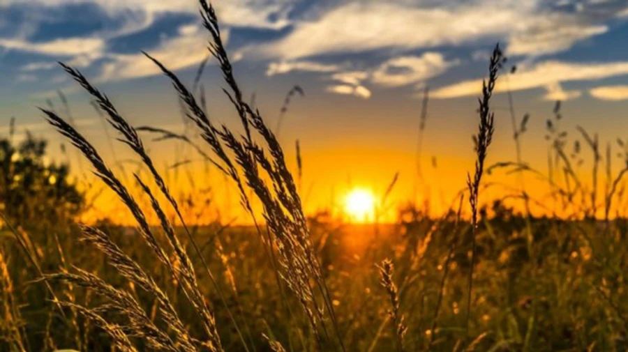 Синоптики рассказали, какую погоду ожидать в ближайшие дни