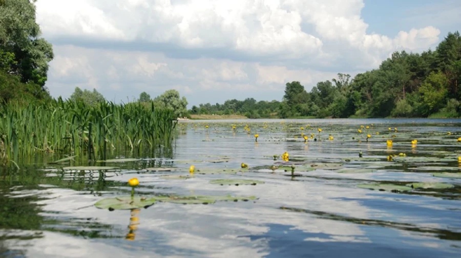 Синоптики обещают украинцам прохладу