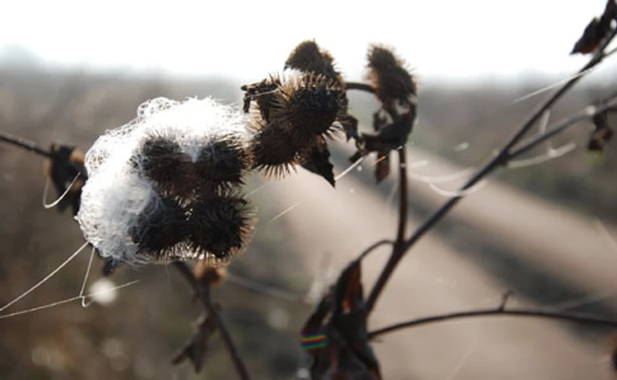 Синоптик рассказала, когда придет похолодание