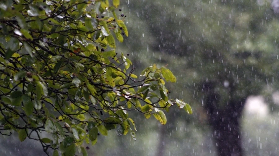 В Украине в воскресенье дожди, грозы и град