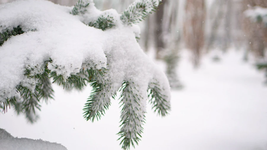 В Україну прийшли сильні морози, але потепління не за горами
