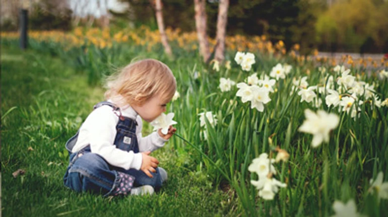 Як розвинути у дитини екосвідомість