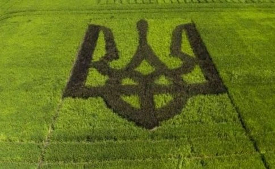 Рада начала рассматривать закон о продаже земли, впереди 4000 поправок