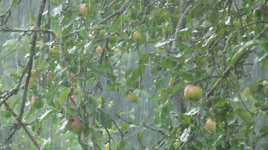 В субботу будет дождливо на севере страны, в воскресенье – на западе