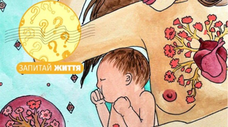 Можно ли есть плаценту?