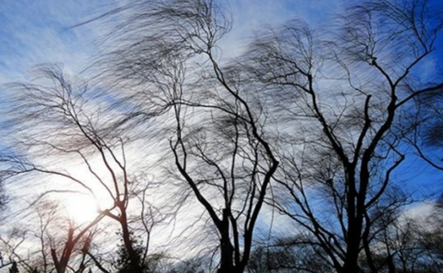 Спасатели предупреждают о сильном ветре