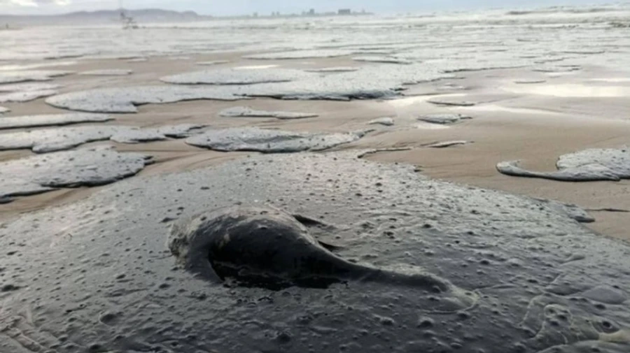 У Краснодарському краї РФ оголосили надзвичайний стан через забруднення берега мазутом