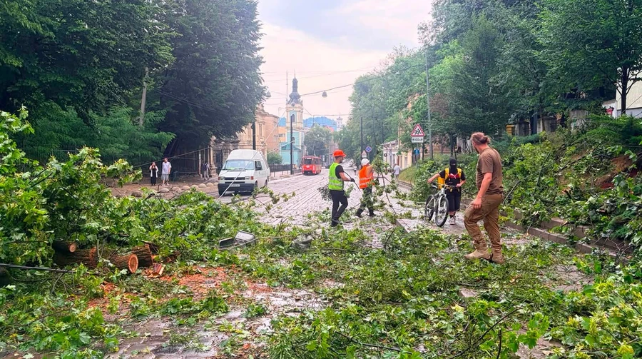 Во Львове из-за непогоды повалило 30 деревьев, повреждены автомобили и здание райадминистрации