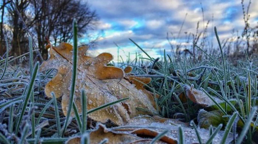 В Україні щодня ставатиме все холодніше, аж до морозів