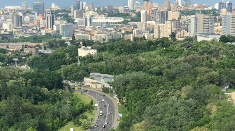 Суд зняв охоронний статус із 16 га Протасового Яру: під загрозою 80% заказника