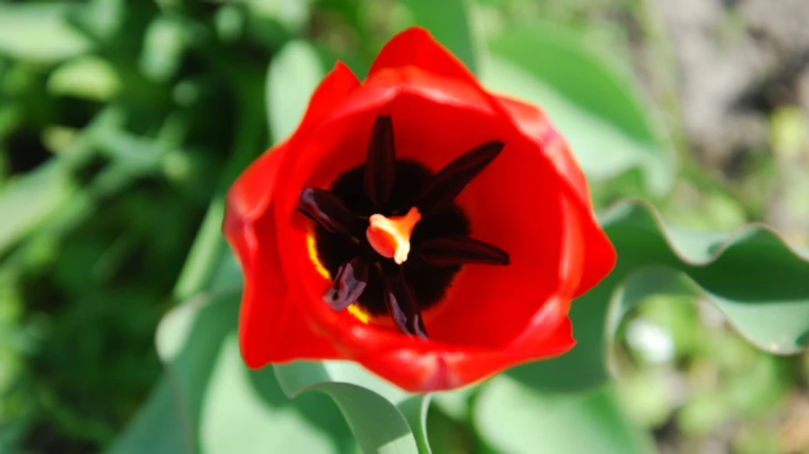 На пятницу синоптики обещают почти жару