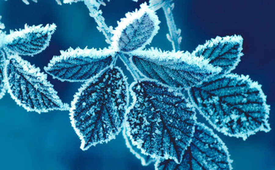 В ближайшие дни украинцев может ожидать лишь одно красивое явление зимы