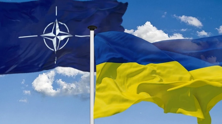 NATO's Article 5 is only thing to stop Putin – former Pentagon official