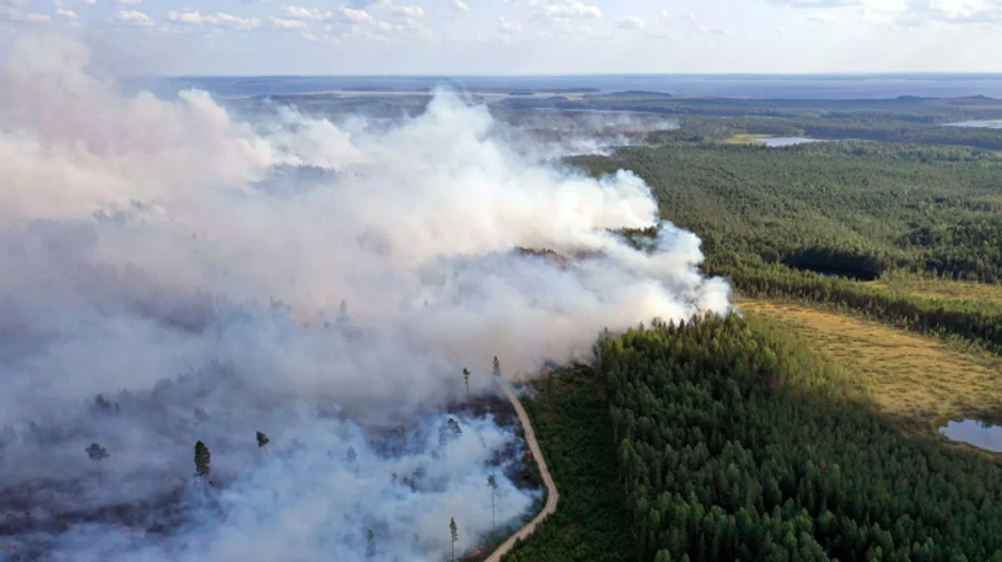Из-за масштабных лесных пожаров в российской Карелии ввели режим ЧС