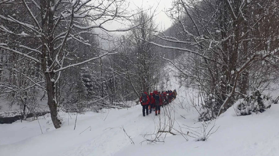 У Карпатах другу добу шукають зниклого туриста