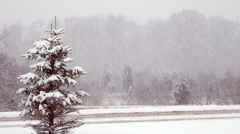 Дощ, мороз і хуртовини – прогноз погоди на 3 доби