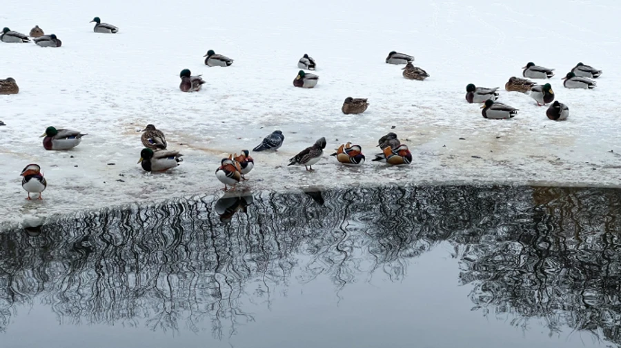 В ближайшие дни в Украине будет довольно тепло, но с гололедицей