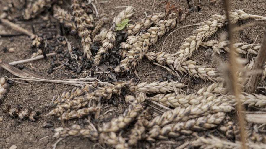 Working Group on Russian Sanctions explains subtleties of designating Russia state sponsor of terrorism