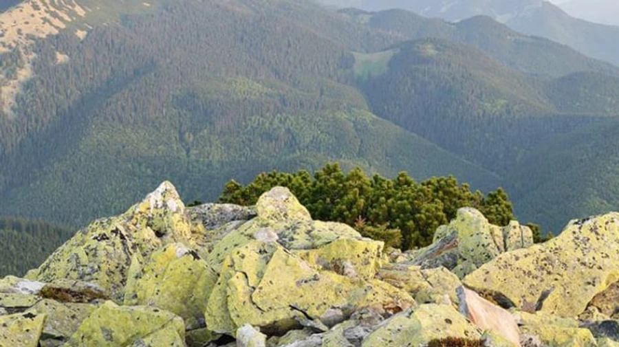 На горі Хом’як у Карпатах шукали 12-річного хлопчика, той зміг зателефонувати рятувальникам