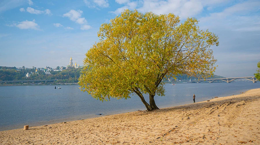 На вихідних в Україні потеплішає, дощі відступлять