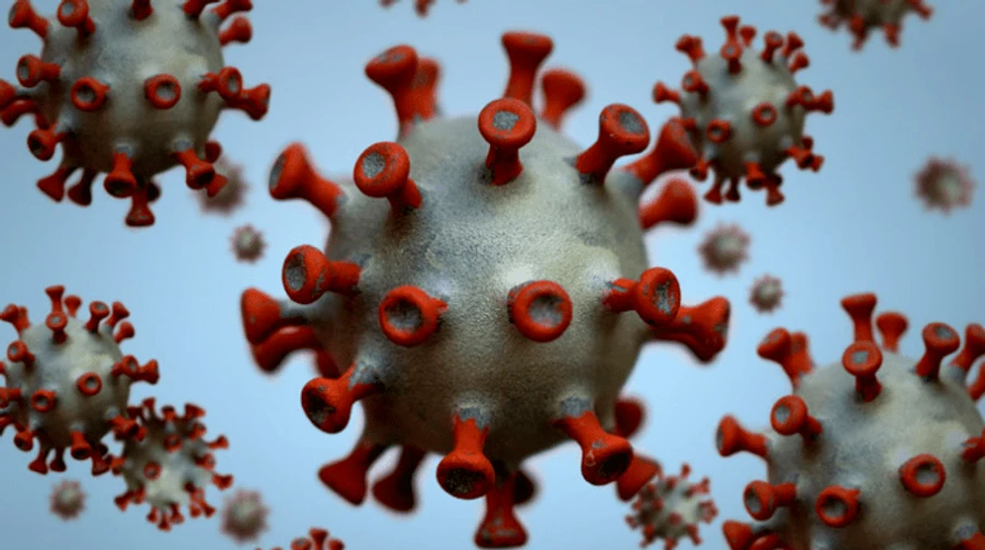 Украина оказалась на 14 месте в мире по распространению COVID-19