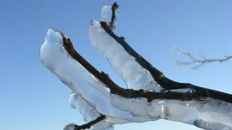 Черговий циклон підкине Україні льодяний дощ