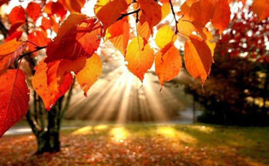 Украинцам обещают пожароопасный понедельник