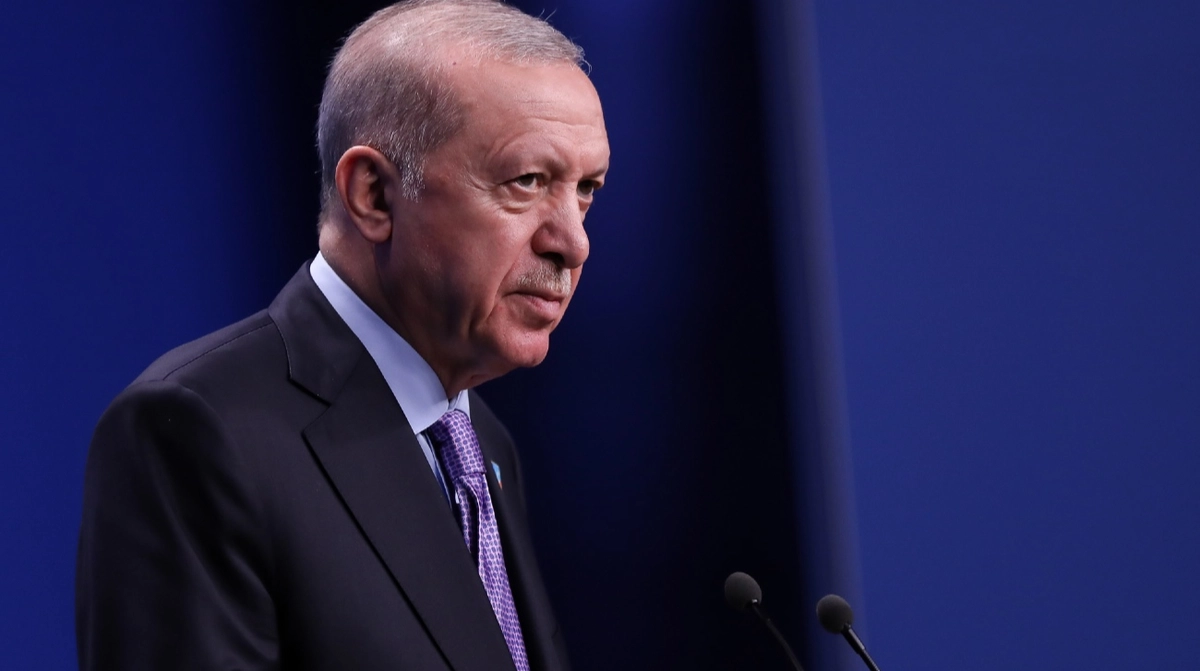 Turkish president tells Putin partial ceasefire is needed in Ukraine