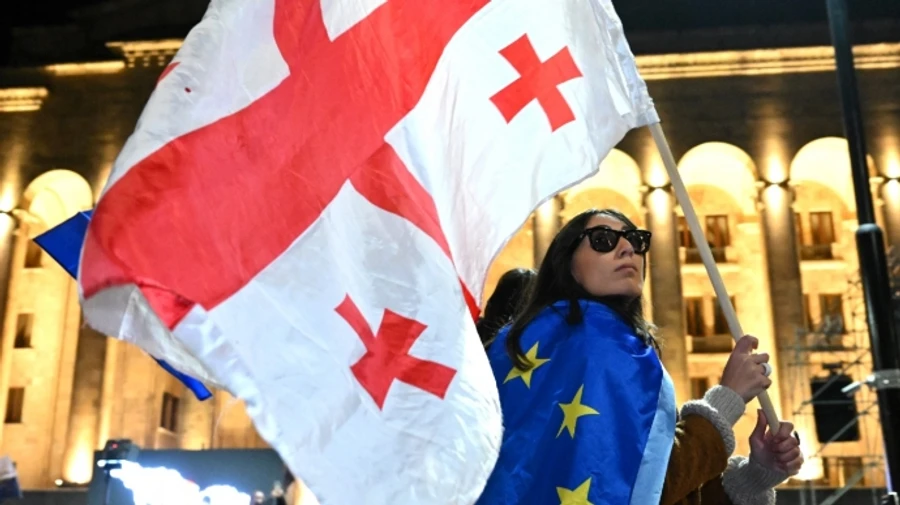 Грузинська влада проігнорувала візит делегації ЄС та назвала їх шкідниками