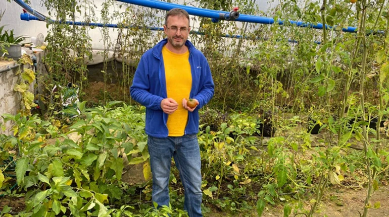 Раздают взрывы, а я сажаю рассаду. Как предприниматель из Киевской области начал выращивать овощи вместо креветок во время войны