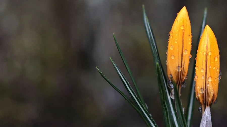 В Украину идут дожди