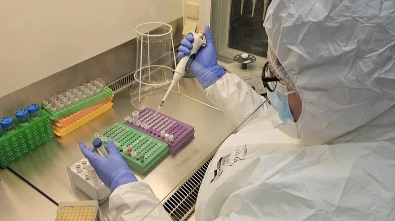 Коли люди почали хворіти на герпес? Науковці знайшли докази віком 2,5 тисячі років