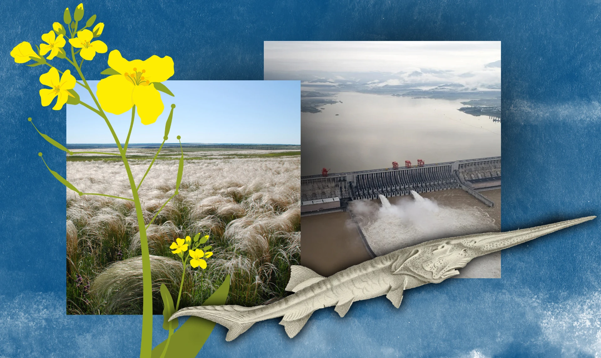 Лягушка в кипятке. Почему человечество не пугает экологическая катастрофа