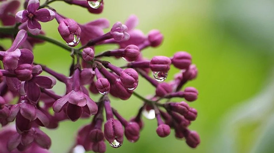 Последние дни мая будут с дождем, градом и грозами