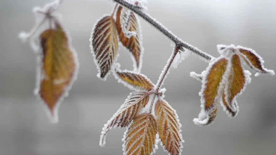 В пятницу в Украину придет потепление