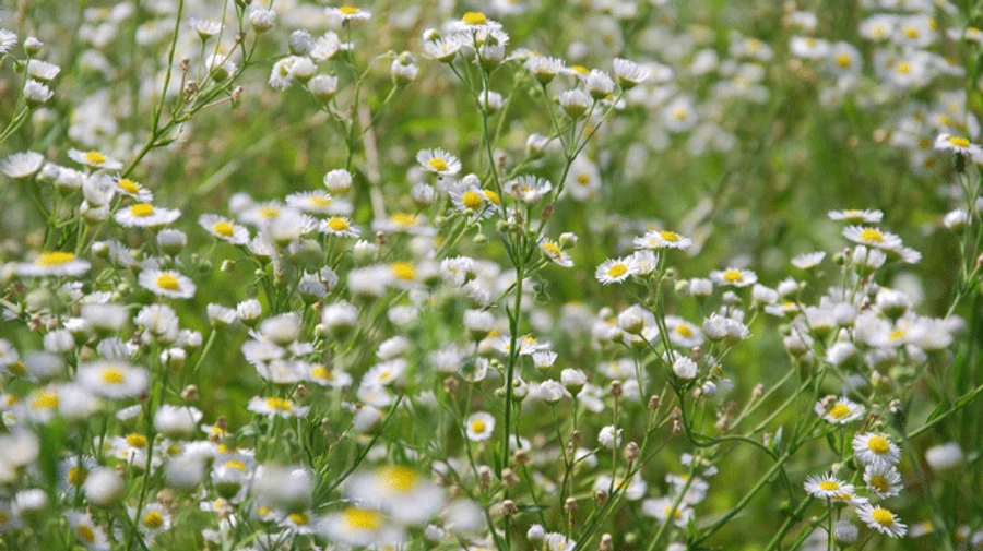 Наближається похолодання