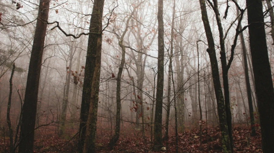 На вихідні синоптики прогнозують прохолодний комфорт