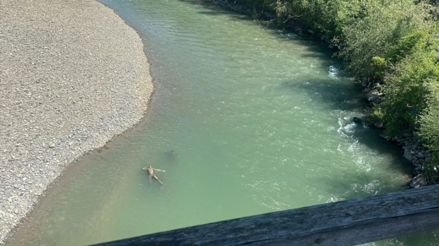 В Тисі знову найшли потопельника: 30-й за час великої війни