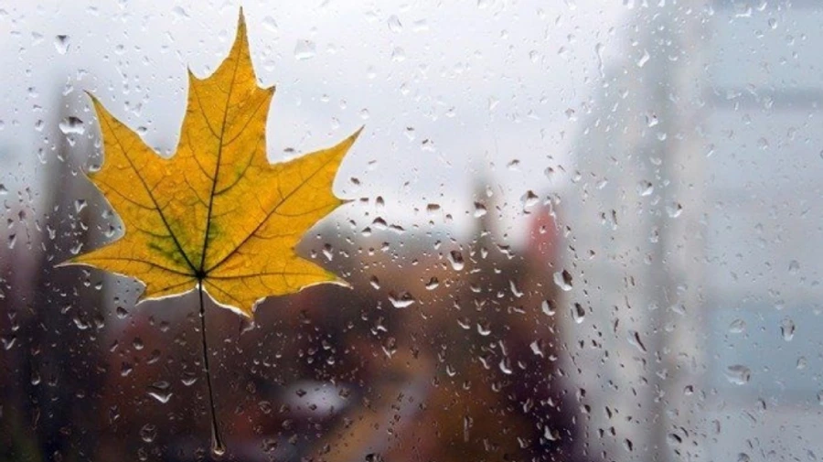 Холодно и сыро: арктический воздух напакостит украинцам