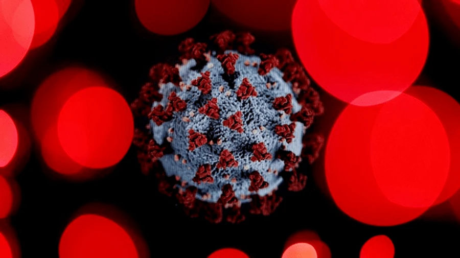 Україна потрапила до першої п’ятірки країн за кількістю померлих від COVID-19