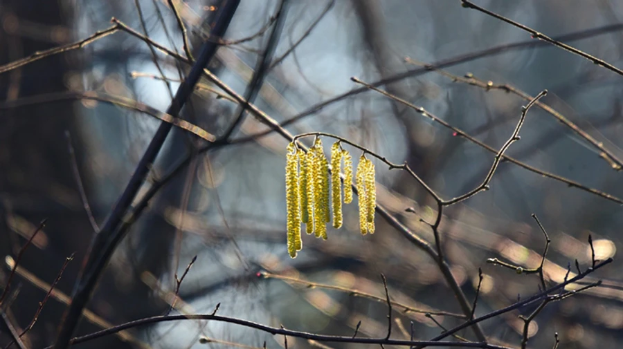 Часть Украины накроют дожди и сильный ветер