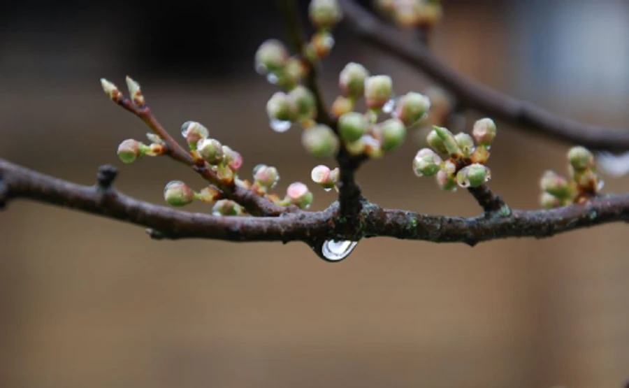 Субота буде теплою, але дощі принесуть похолодання