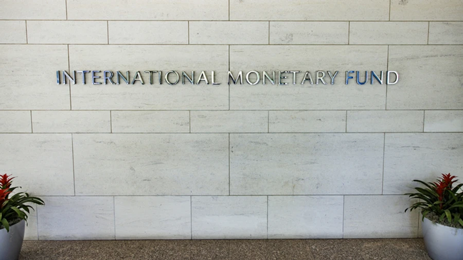 IMF opposes creation of single holding of state companies in Ukraine