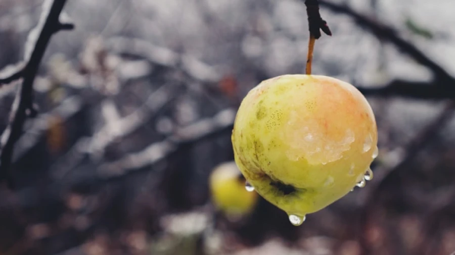 В Украину придет мокрый снег