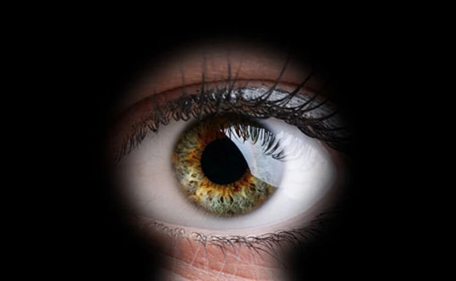 Большой брат: у Слузі народу є служба, яка стежить за нардепами