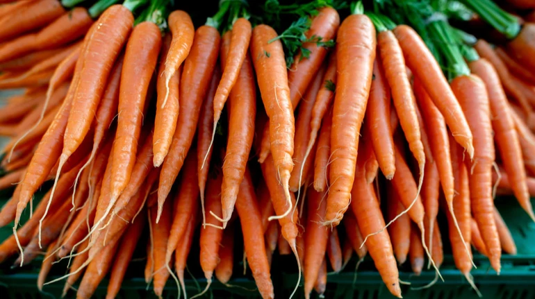 Морква продовжує дорожчати